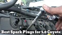 Best Spark Plugs for 5.0 Coyote with Reviews, Buying Guide and FAQs