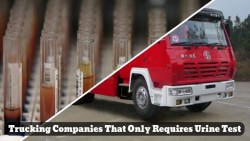 Trucking Companies That Only Require Urine Tests 2022