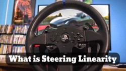 Source of Steering Linearity's Direction