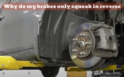 Why do my brakes squeak only in reverse?