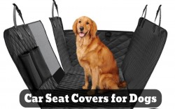 Best Car Seat Covers for Dogs: Keep Your Car Clean and Pet-Friendly