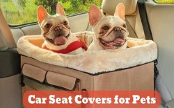 Best Car Seat Covers for Pets: Protect Your Car with Style